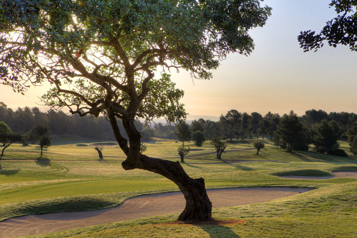 SheratonMallorcaArabella_golf2